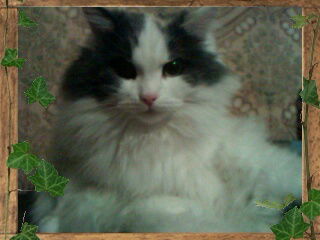 Татьяна Игнатьева