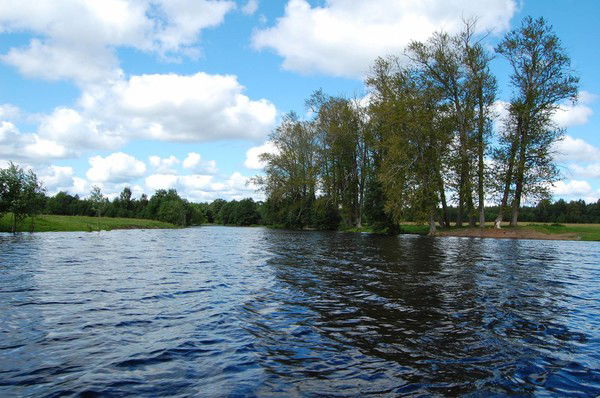 Иван Савастьянов