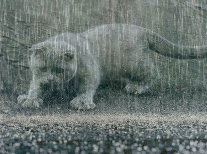 Татьяна Ларина