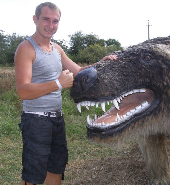 Александр Сикорский