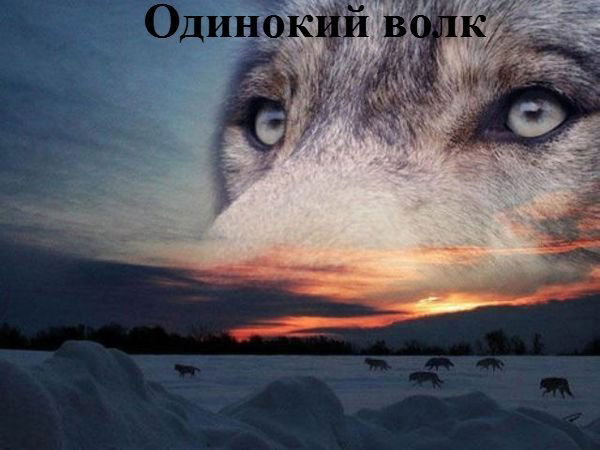 жены это такие люди которые гоняют авторитетных пацанов за хлебом. Смотреть фото жены это такие люди которые гоняют авторитетных пацанов за хлебом. Смотреть картинку жены это такие люди которые гоняют авторитетных пацанов за хлебом. Картинка про жены это такие люди которые гоняют авторитетных пацанов за хлебом. Фото жены это такие люди которые гоняют авторитетных пацанов за хлебом