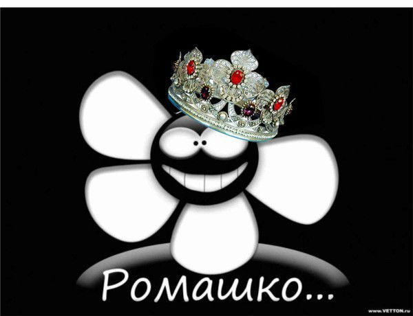 Ромашко Герберская