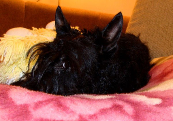 Лариса Хазимова