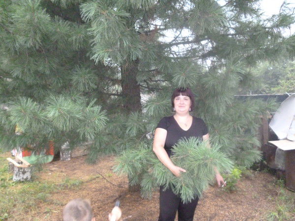 Анастасия Шипицина