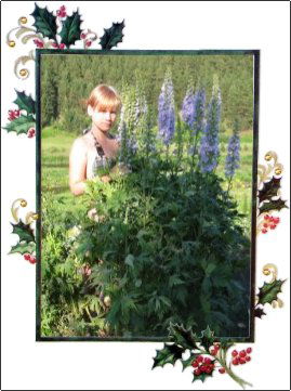 Светлана Шибаева