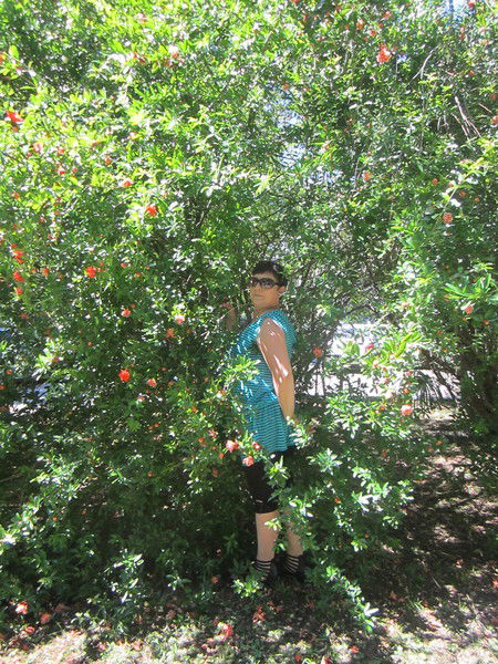 Наталья Фалионова