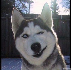 Сергей Иванов