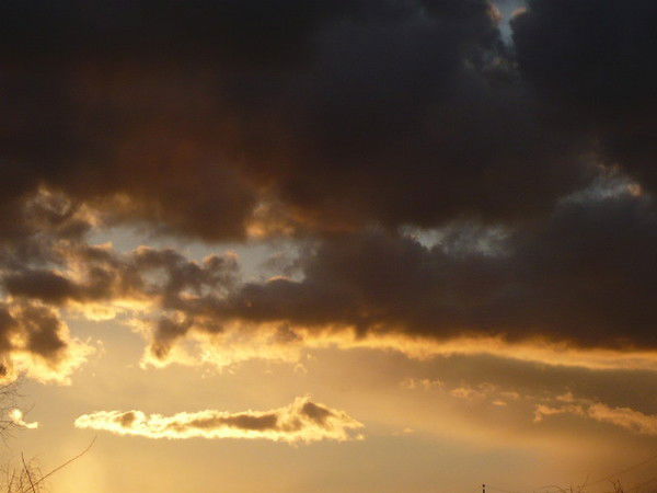 Татьяна Копцева