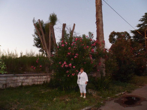 Татьяна Лаврентьева