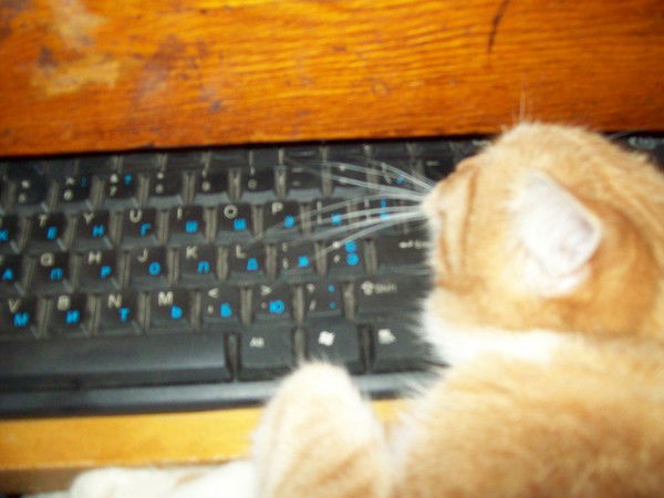 Таиса Иоонова