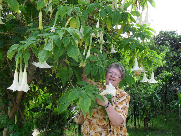 Галина Зацепина