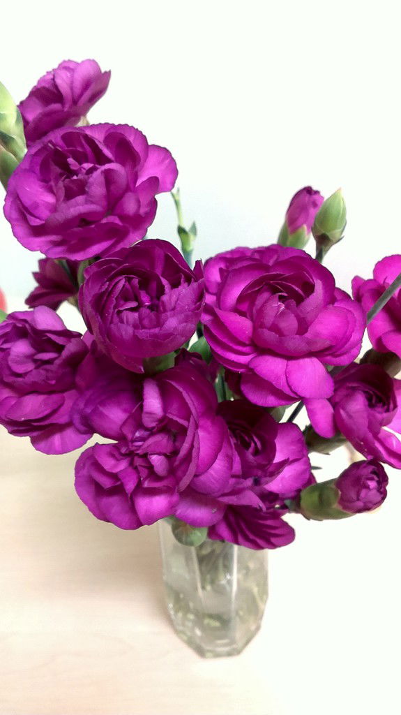 Любовь Щербак