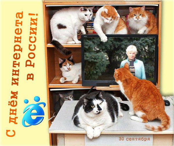 Татьяна Мещерякова