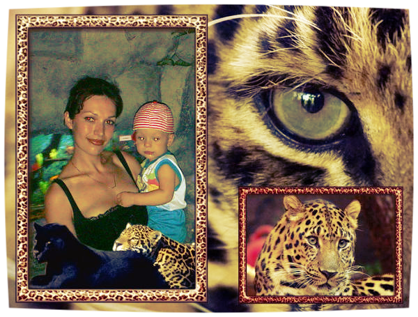 Татьяна Шипилова