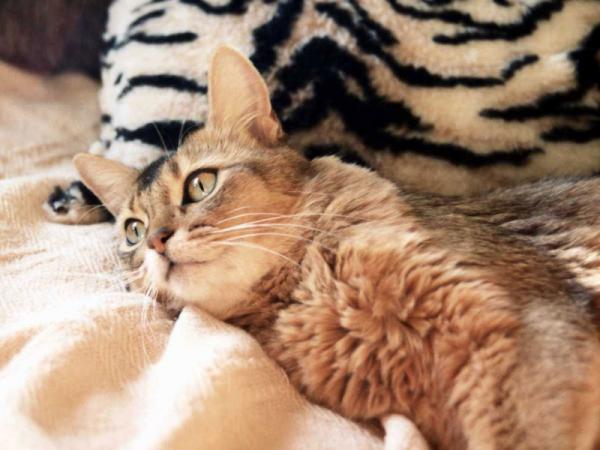 Татьяна Кузьмина