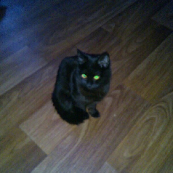 Максим Истомин