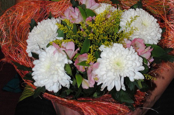 Лючия Верба