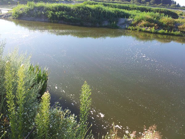 Владимир Шахов