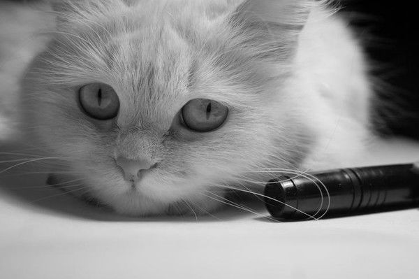 Просто Филимон