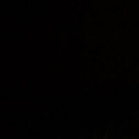 Антон Загария