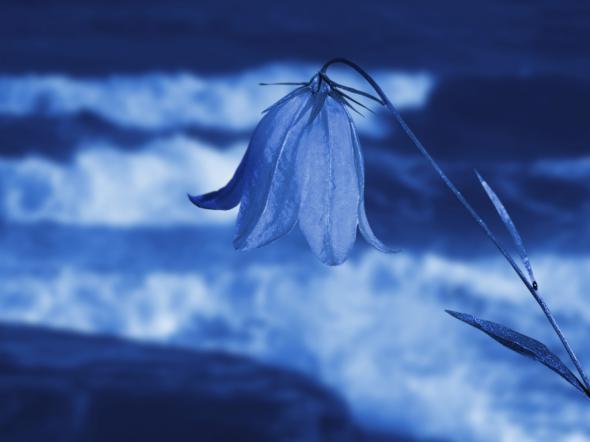 Неизвестно Неизвестно