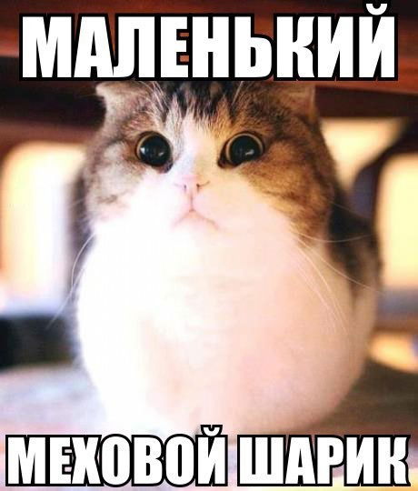 Диана Ахметова