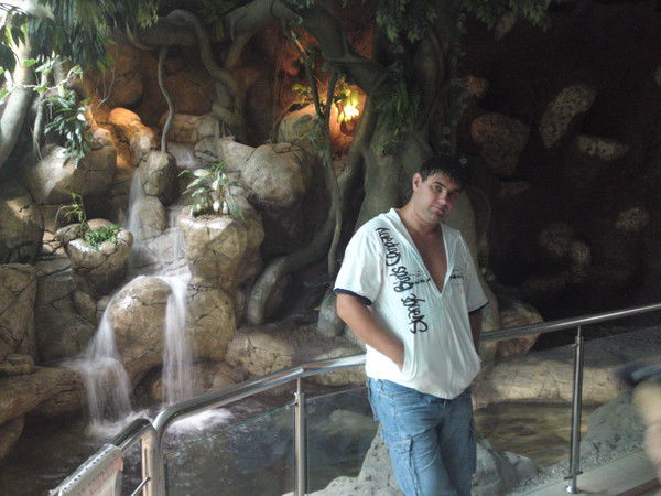 Игорь Андреев