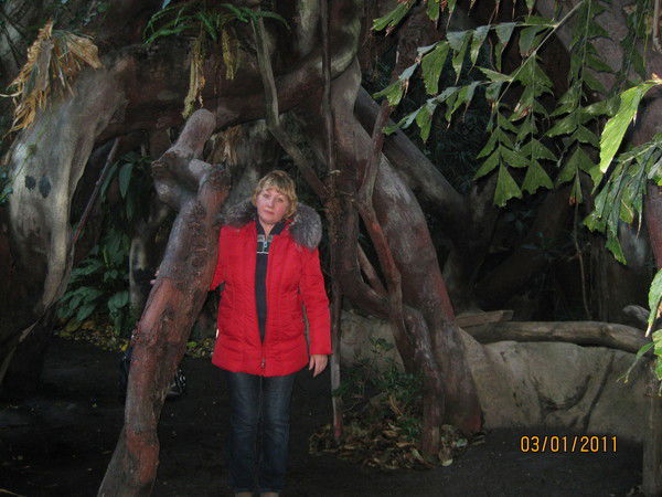 Светлана Михеенко