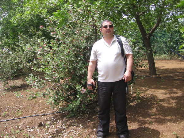 Леонид Люличев