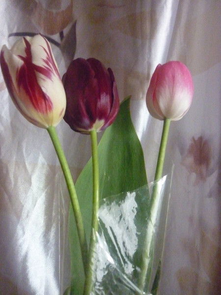 Марина Анисимова