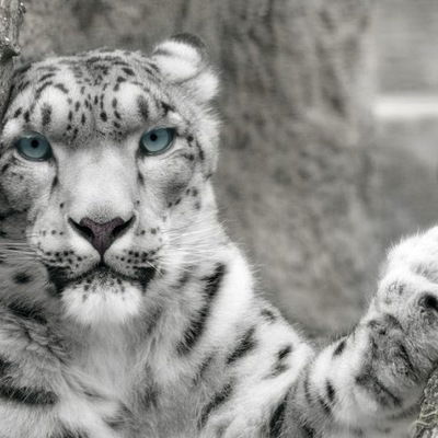 Сергій Скрипник