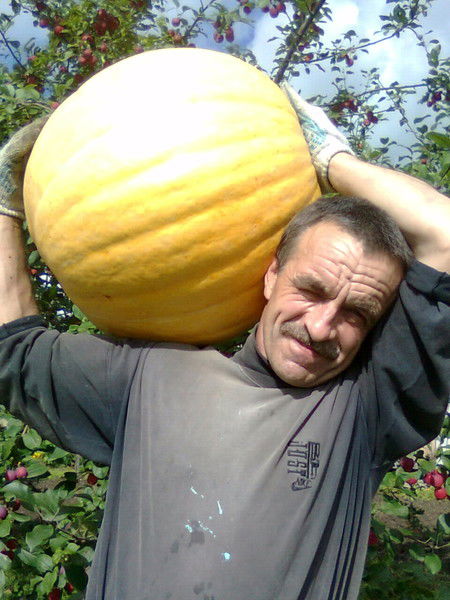 Пётр Шиховцов