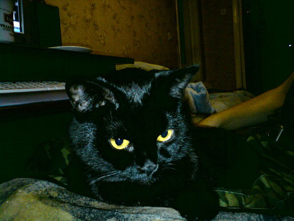 Константин Сидоров