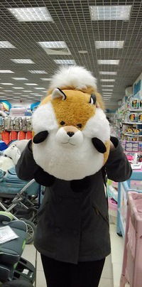 Полина Нельсон