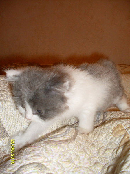 Юрий Полянский