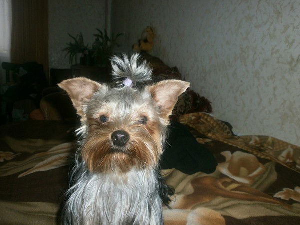 Саша Береснева