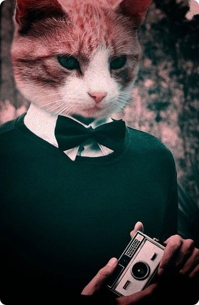 Саша Приходько