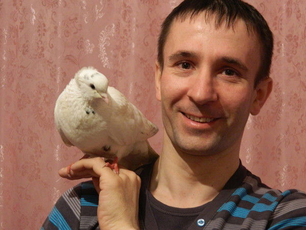 Павел Лебедев