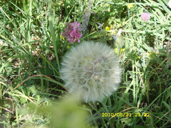 Галина Егер