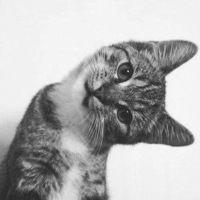 Елизавета Разумова