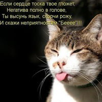 Игорь Фитисов