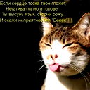 Игорь Фитисов