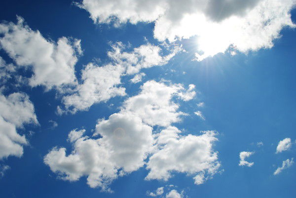 Татьяна Поволяко