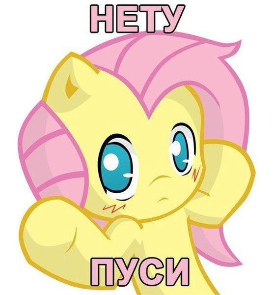 Алексей Новиков