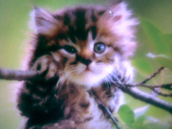 Любовь Насырова