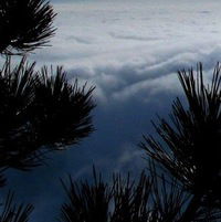 Юта Бондаровская