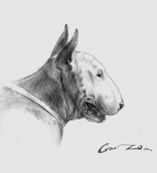 Вадим Ткачёв