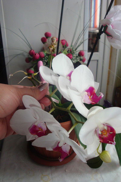 Асия Жолтаева