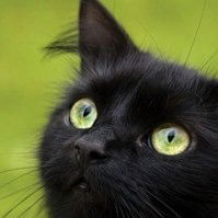 Марина Молданова