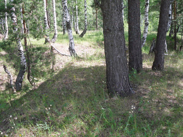 Любава (Алла) Баранова